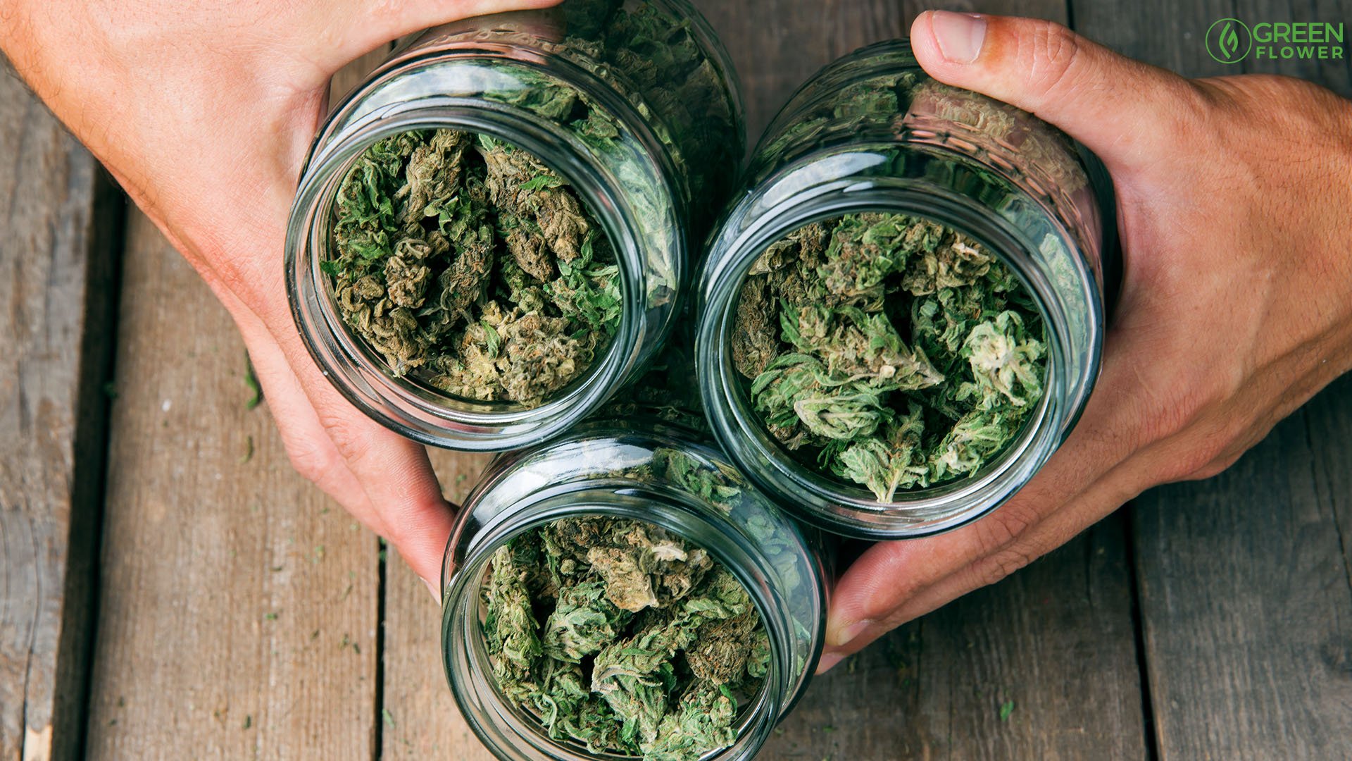 How To Become A Budtender | Green Flower News